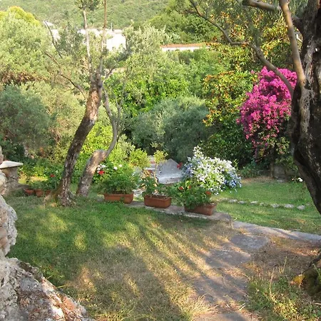 Casa Puccini Couette-café Maratea