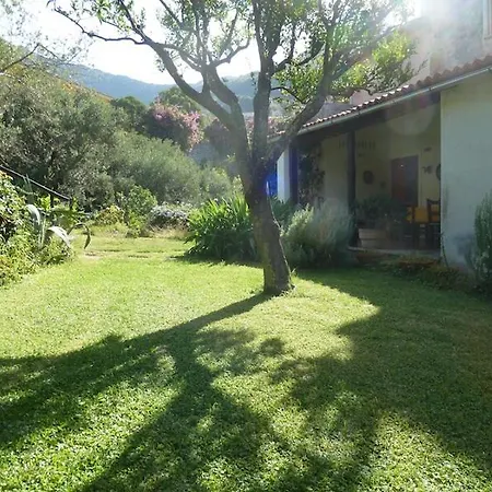Casa Puccini Couette-café