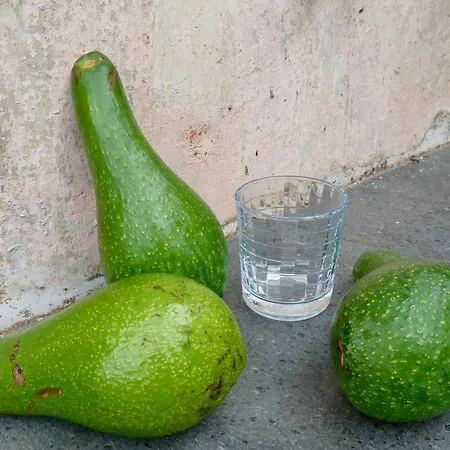 Casa Puccini Bed & Breakfast 3*