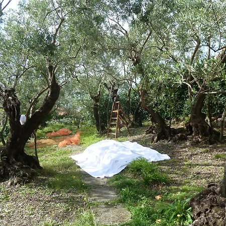 Casa Puccini Maratea