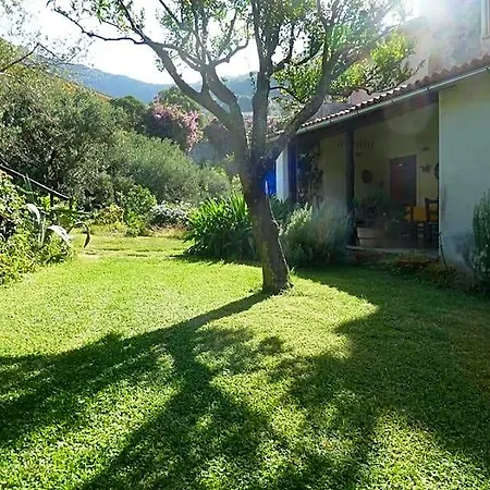 Bed & Breakfast Casa Puccini 3*