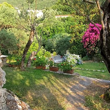 Casa Puccini Bed & Breakfast 3*