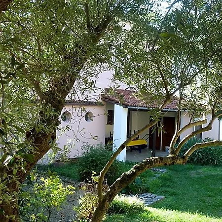 Casa Puccini Bed & Breakfast
