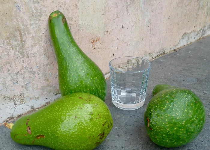 Casa Puccini Nocleg ze śniadaniem 3*