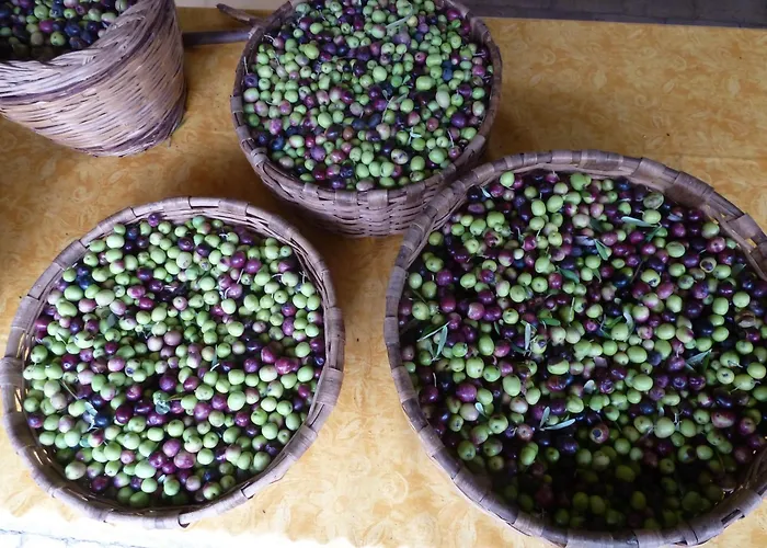 Casa Puccini 3* Maratea